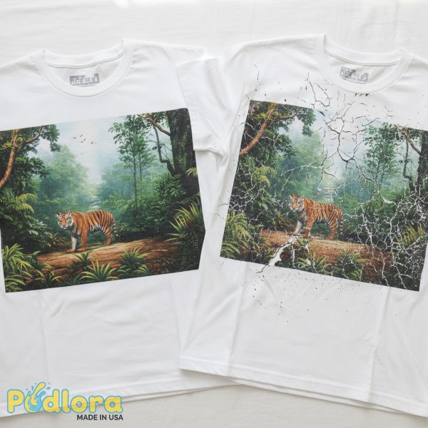 Comparison Of Well Cared Versus Damaged Printed Shirts Comparison Of Well Cared Versus Damaged Printed Shirts