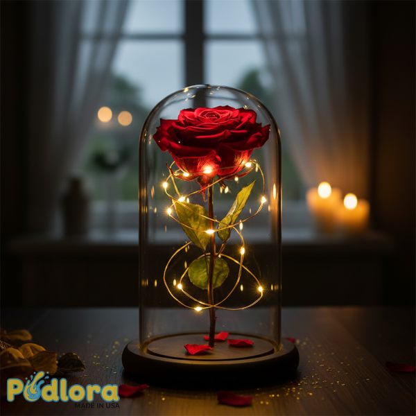 Preserved Red Rose Glass Dome